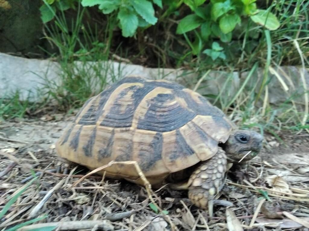 Photo - Guest House Bake