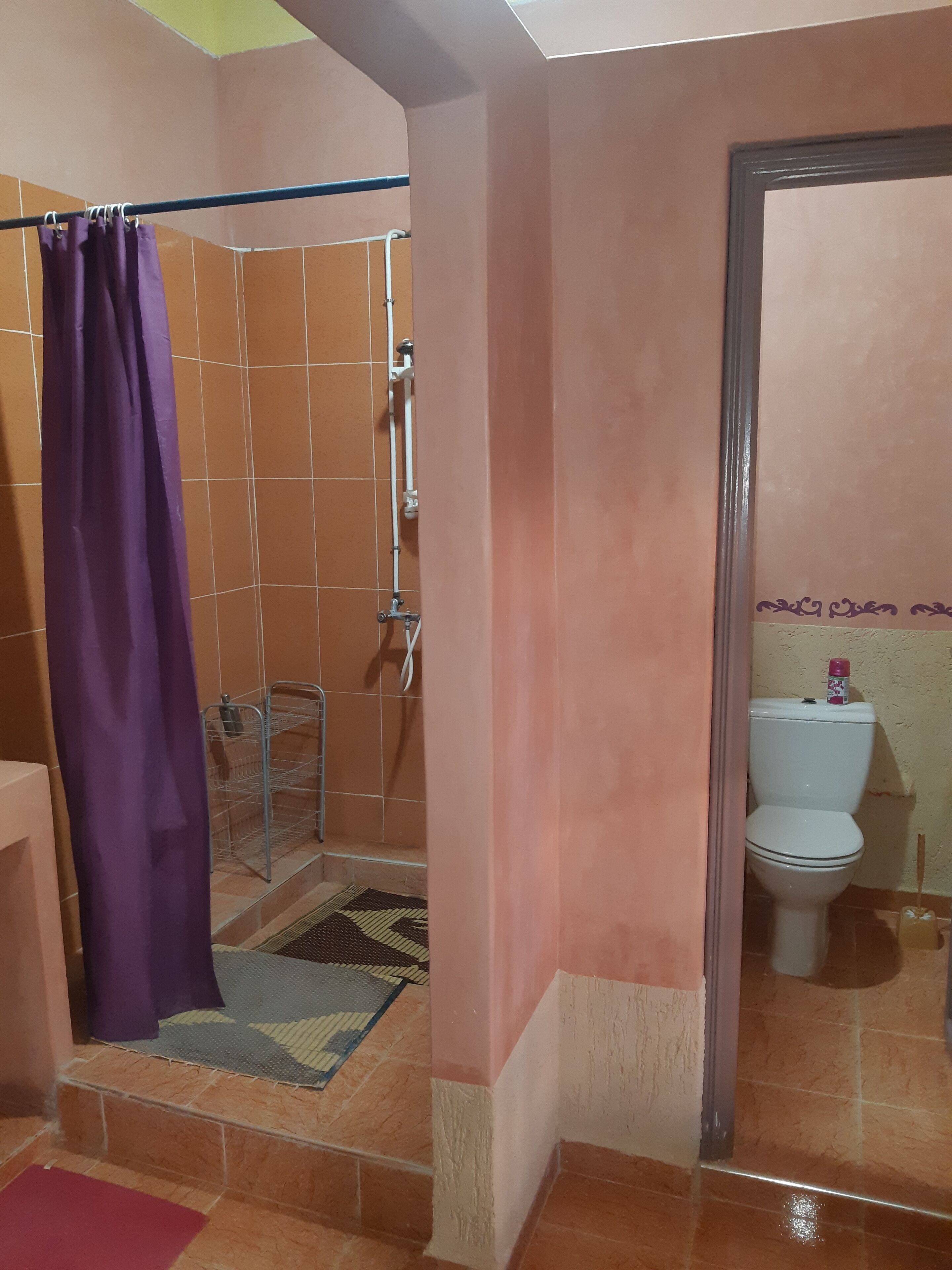 A bathroom with a shower, toilet, and a purple curtain.