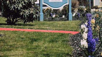 Fyrir utan