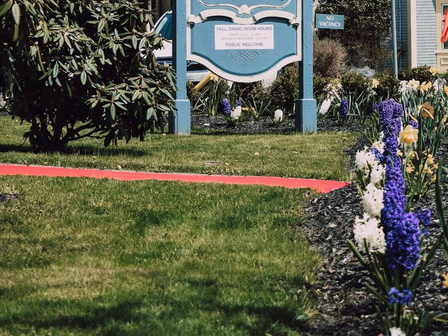 A sign for Bluenoise Lodge with a garden in the foreground.
