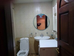 Bathroom features a toilet, sink, and mirror.
