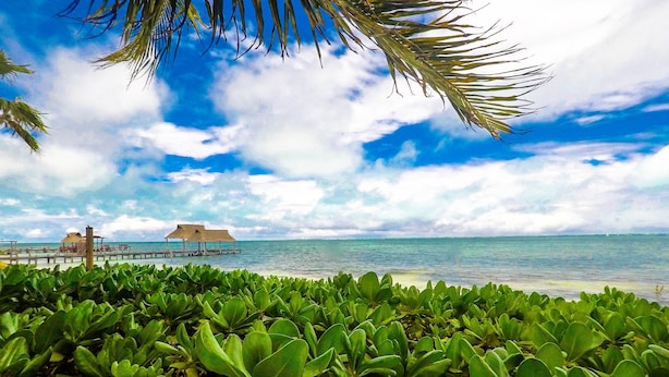 Ein Strand mit üppiger grüner Vegetation im Vordergrund, eine Holzstege mit Sonnenschirmen und das Meer im Hintergrund.