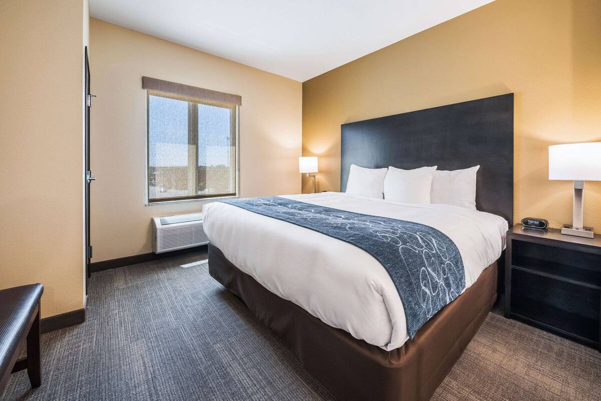 A hotel room with a large bed, a window, a bedside table with a lamp, and a bench.
