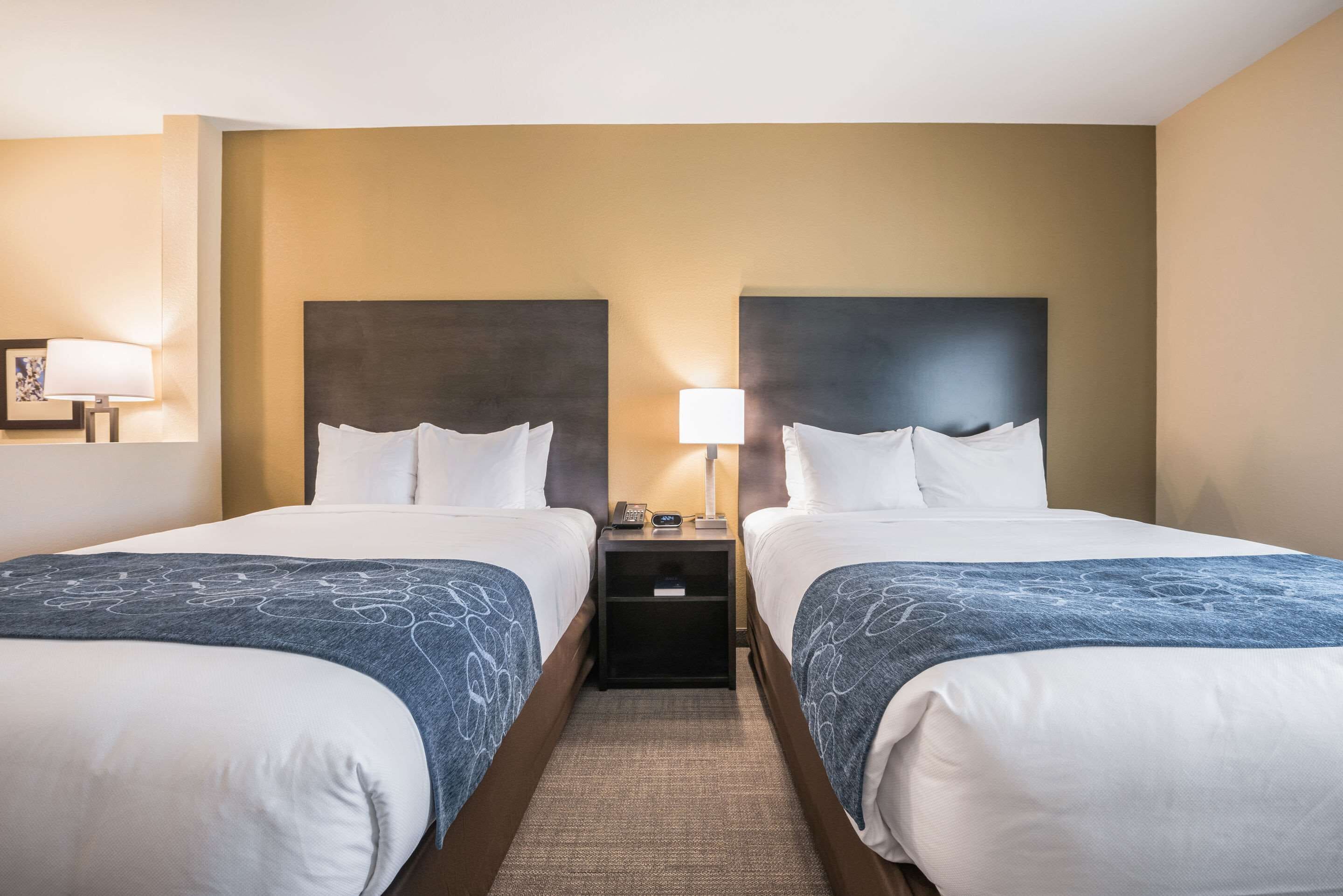 Habitación de hotel con dos camas, cada una con cabecera, mesita de noche con lámpara y suelo alfombrado.