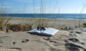 A beach scene with an open book and sunglasses on the sand, a clear sky, and the ocean in the background.