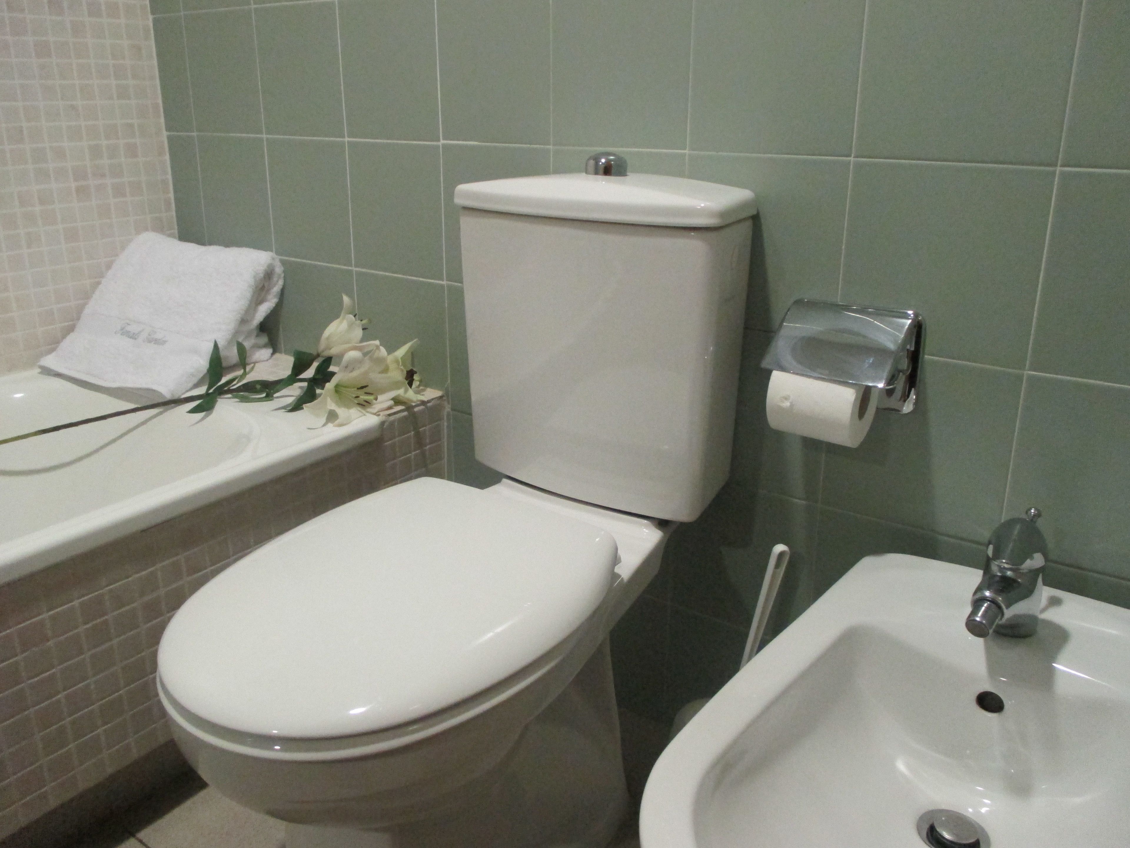 hair dryer, bidet, towels, soap