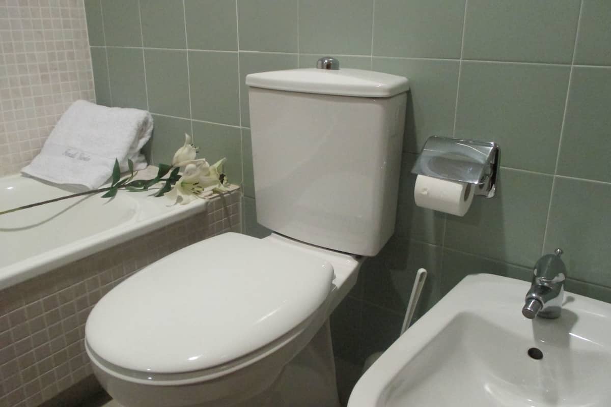 hair dryer, bidet, towels, soap