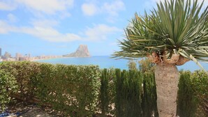 A coastal view with a palm tree, a city skyline, and a clear sky. - Apartamento Anfiteatro by Costa CarpeDiem (Calpe)
