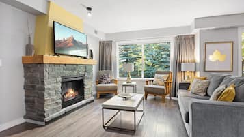 TV connectée, cheminée, livres