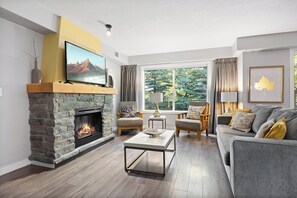 Smart TV, fireplace, books