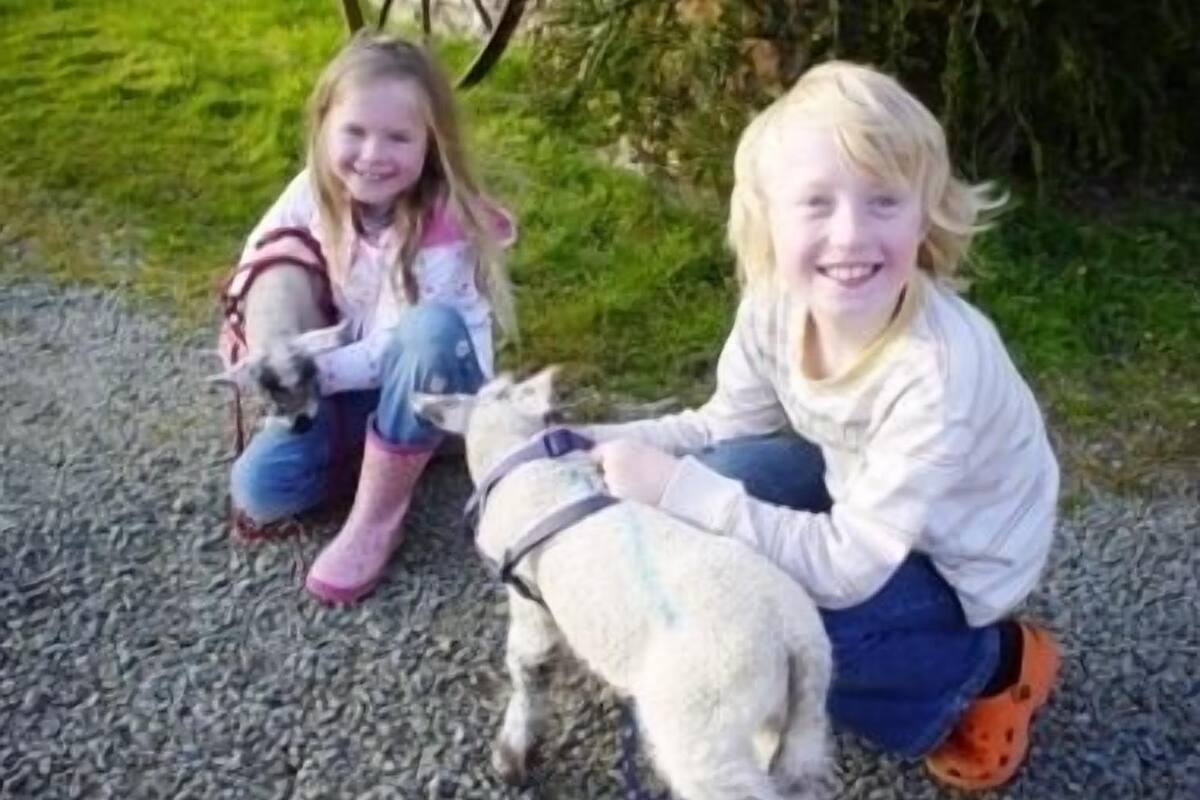Two children sitting on a gravel path with a sheep.