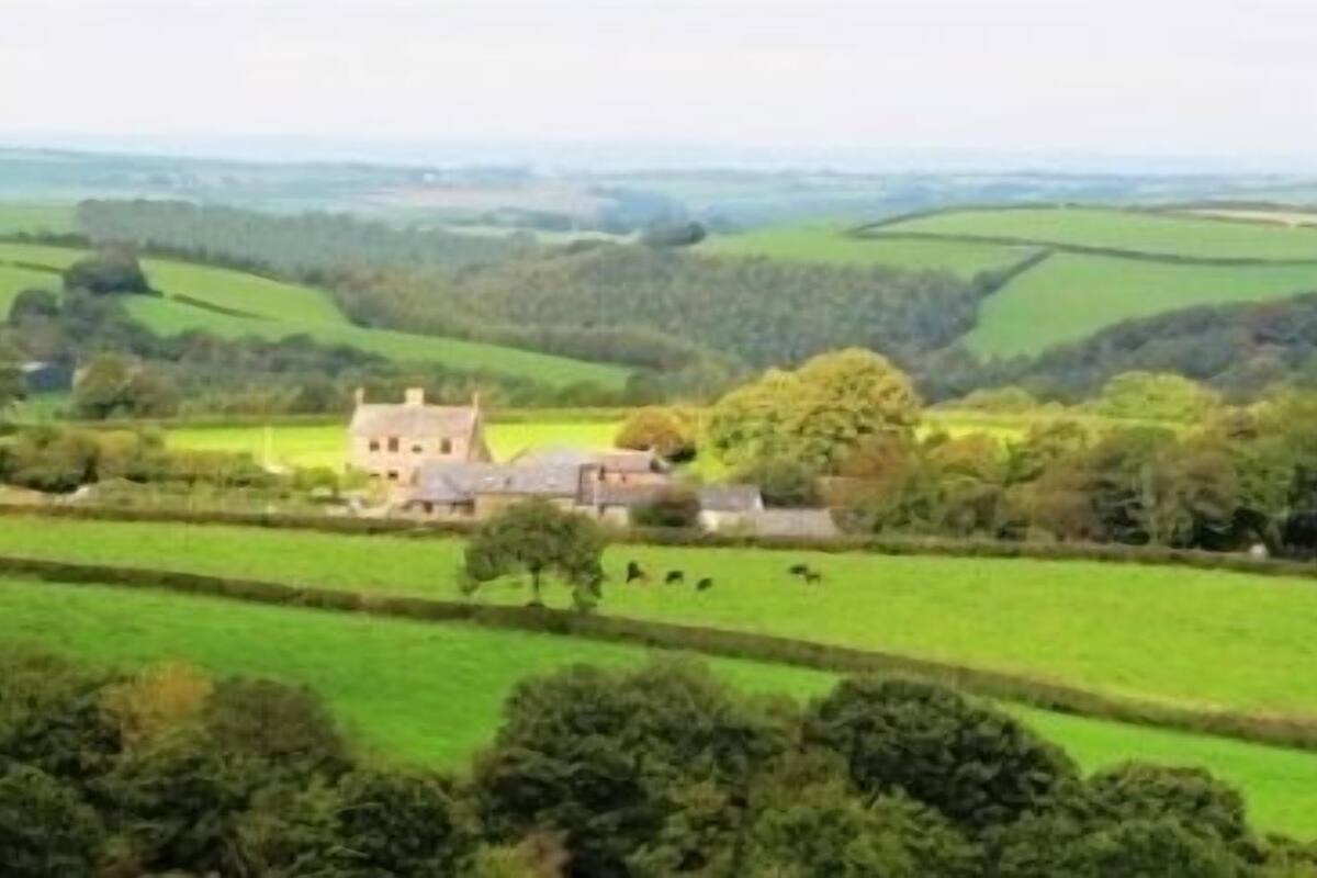 A rural landscape with a large house surrounded by green fields and trees.