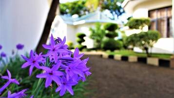 Chi tiết ngoại thất