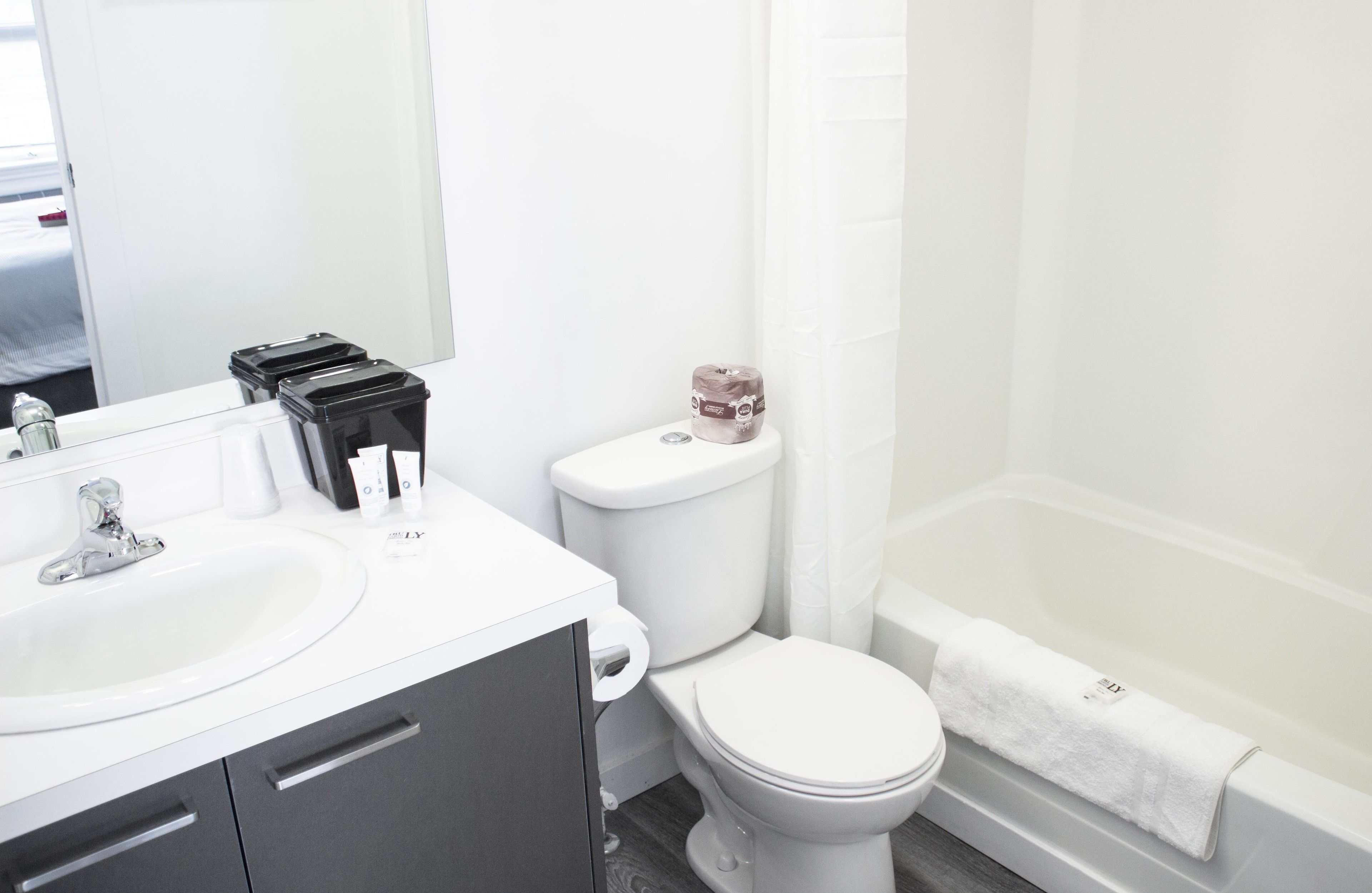 combined shower/bathtub, free toiletries, hair dryer, towels