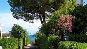 A pathway lined with neatly trimmed hedges and a large tree with green foliage. - Beach house with large garden (Seaside Paradise Vasto) (Vasto)