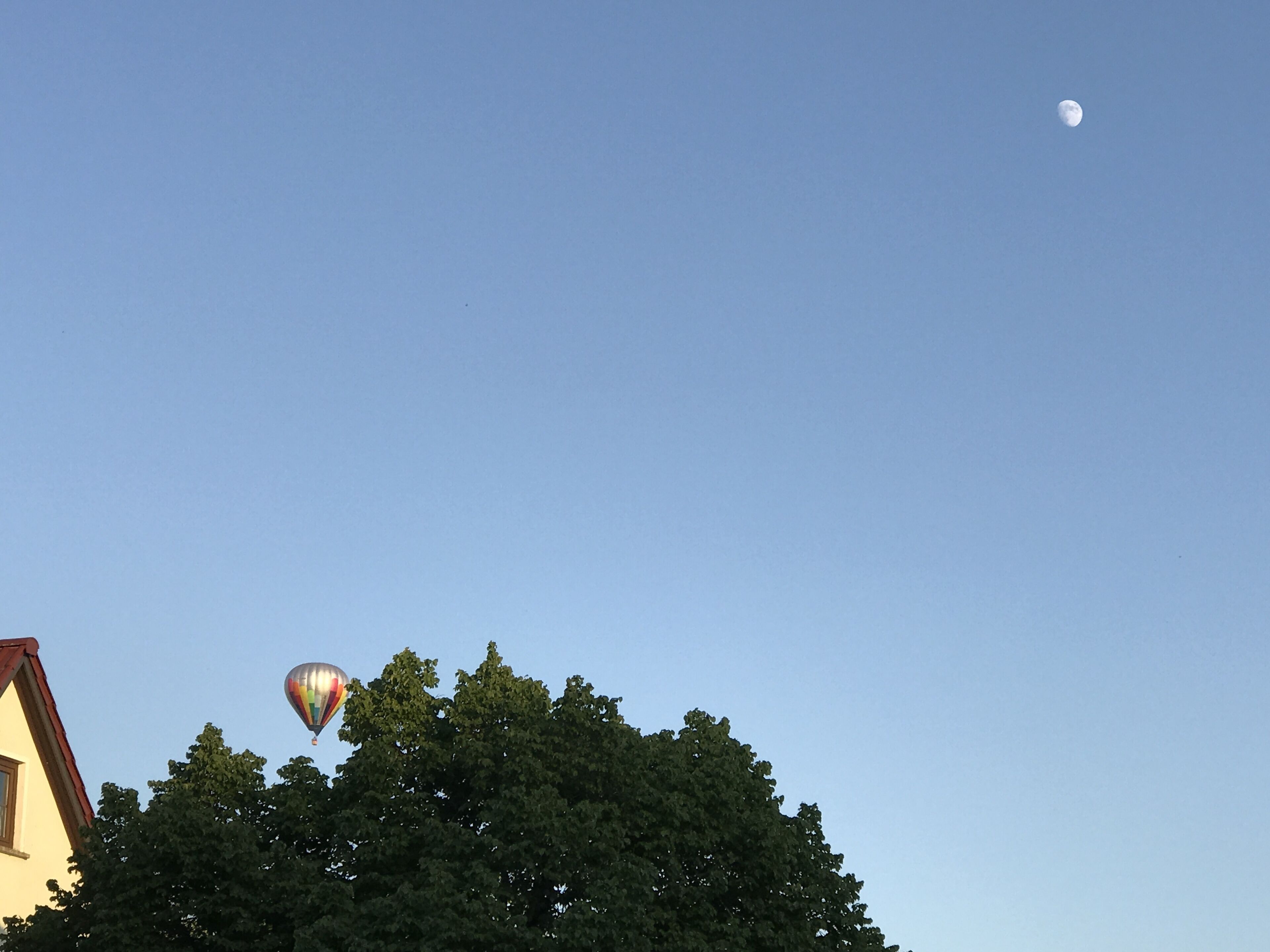 A hot air balloon in the sky above a tree.
