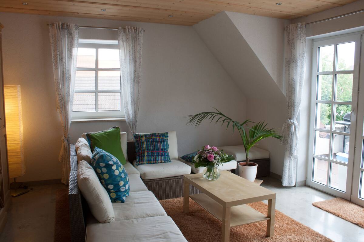 A modern living room with a sofa, a coffee table, and a potted plant.