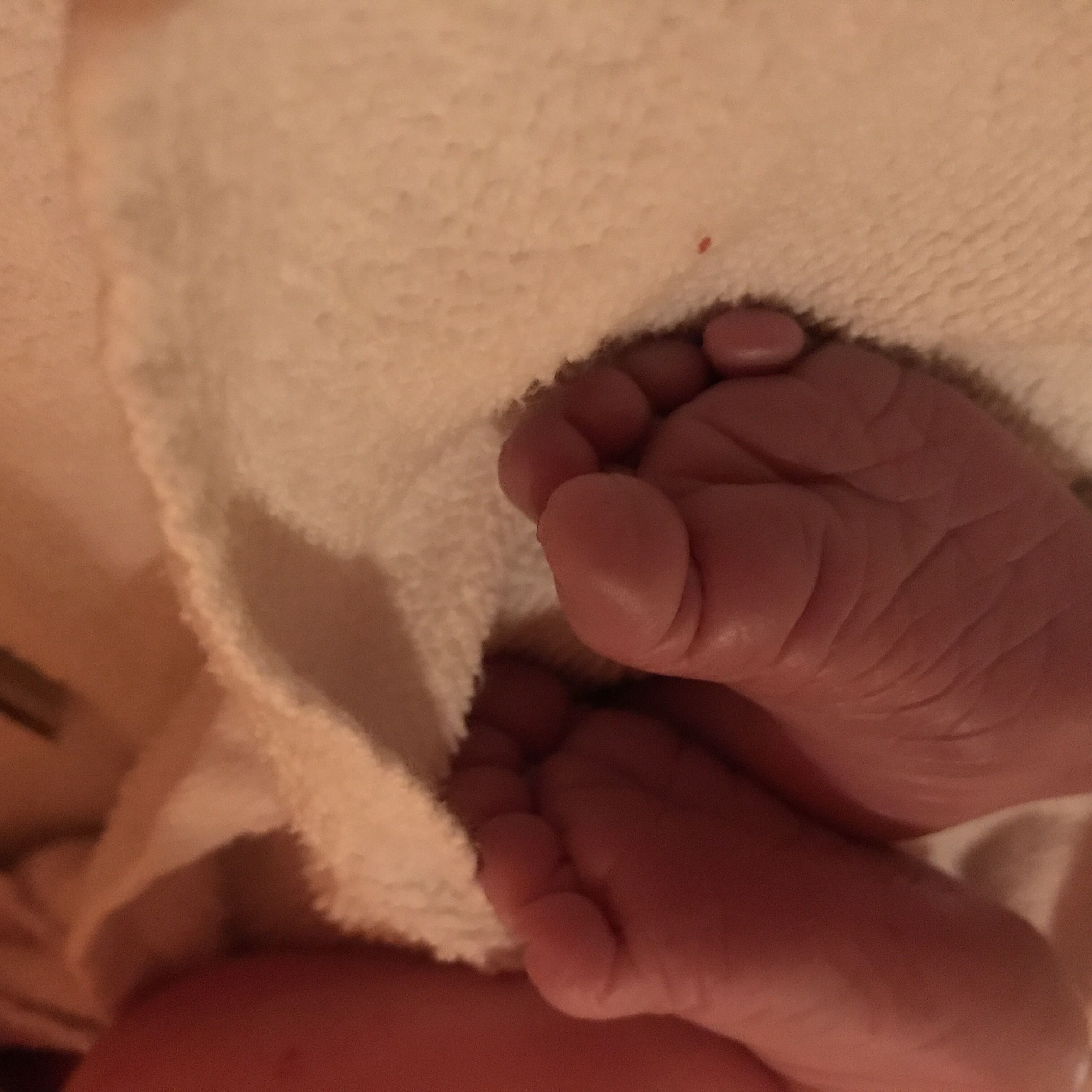A close-up of a baby's feet resting on a white textured surface.