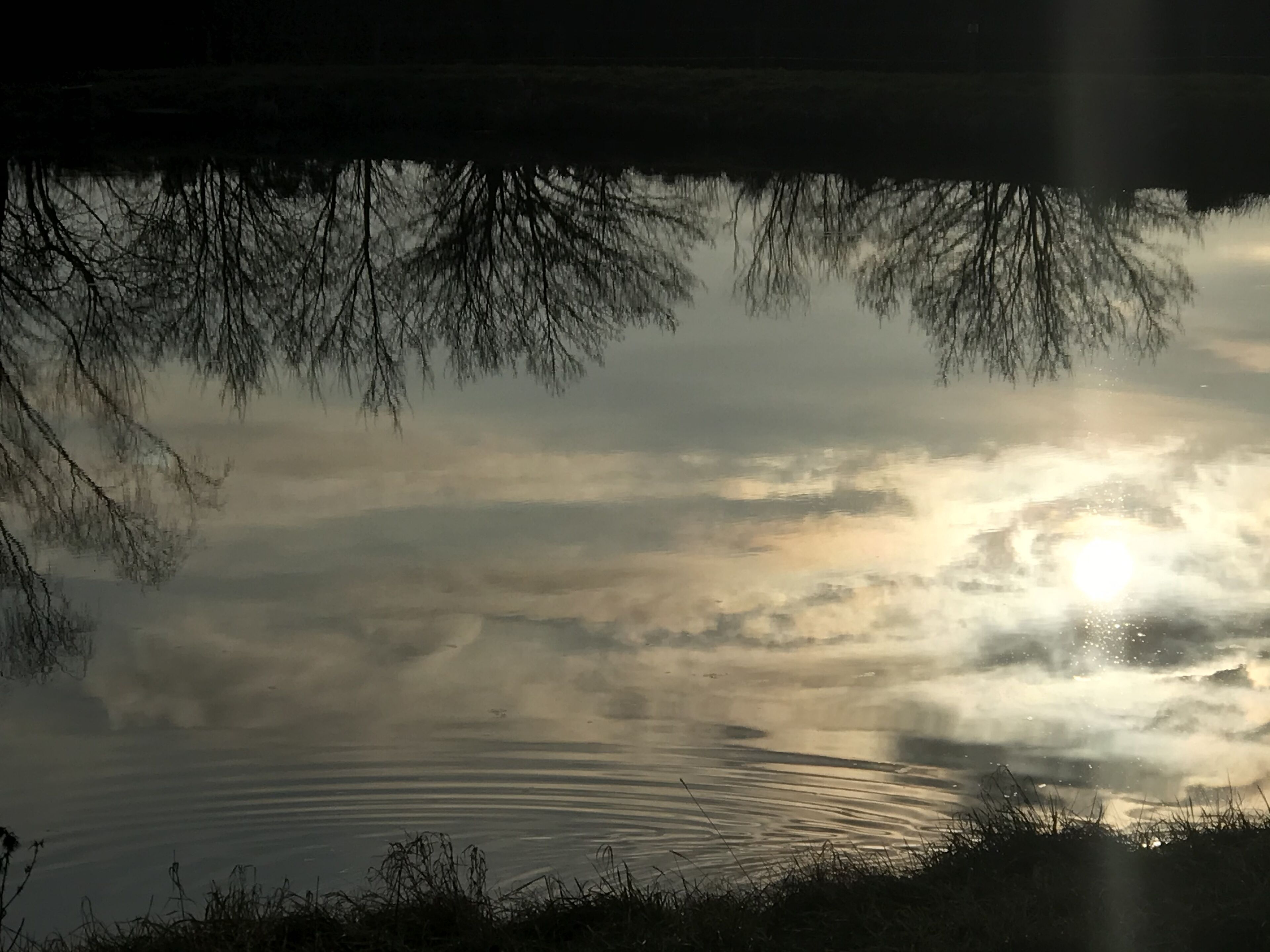 Um lago calmo refletindo árvores e um céu nublado.