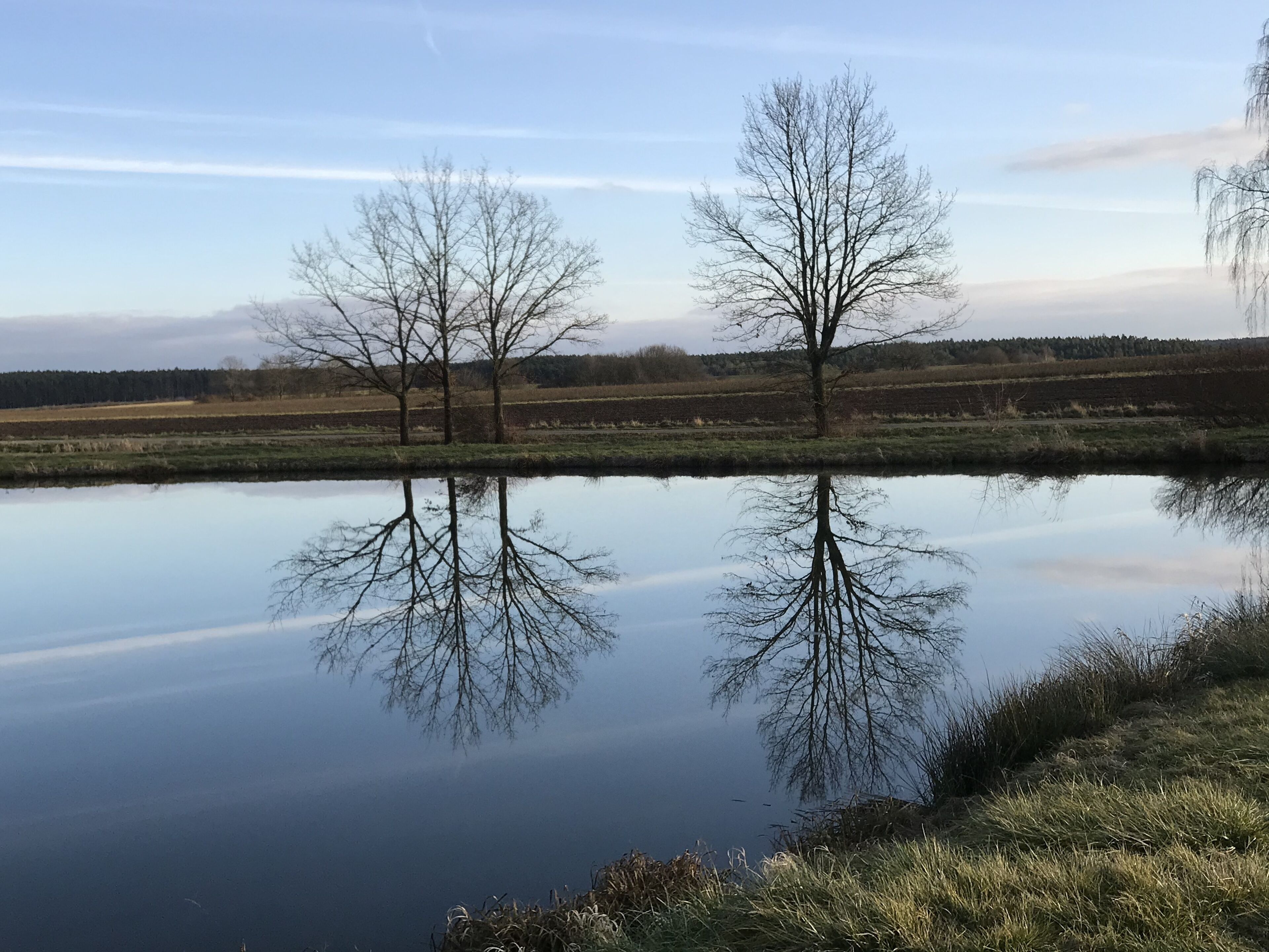 Ein ruhiger See mit Spiegelungen von Bäumen und einem klaren Himmel.