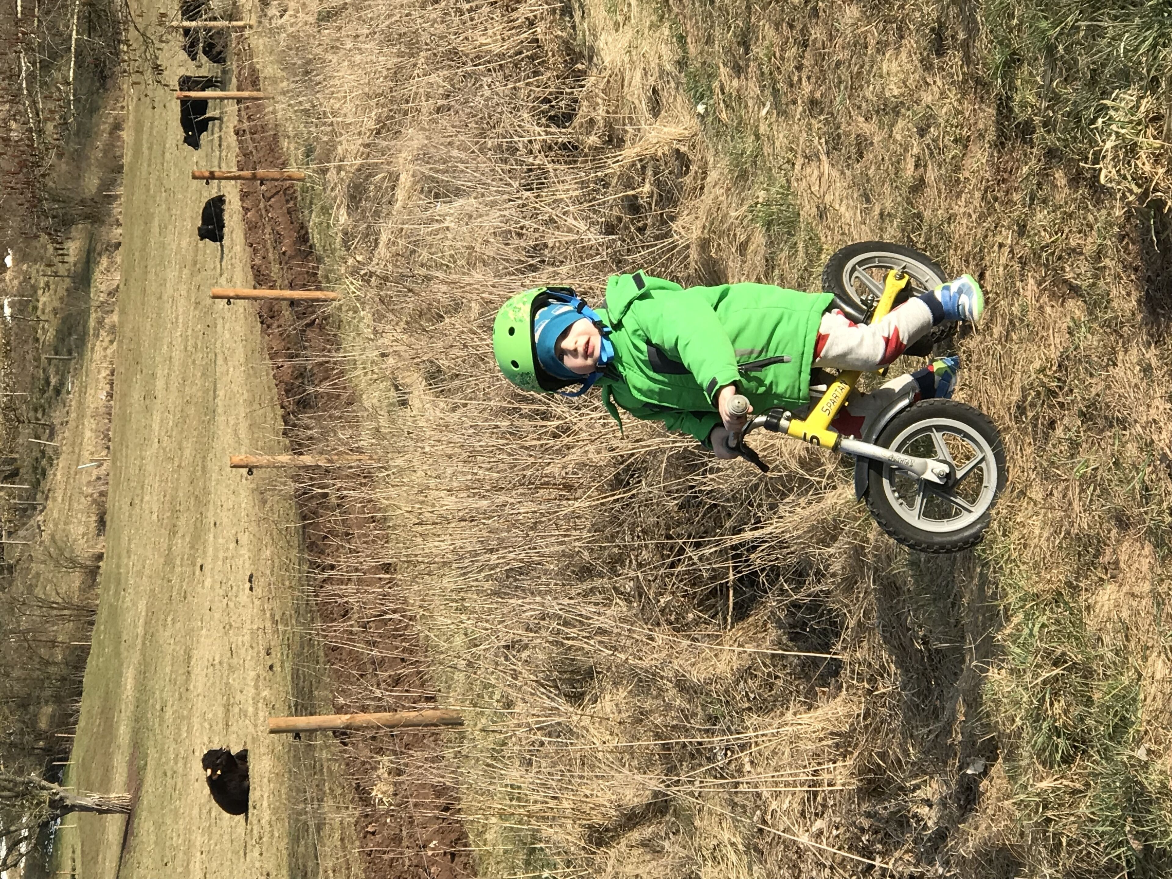 Una persona en bicicleta al camp, amb grans bales de fenc i una tanca.