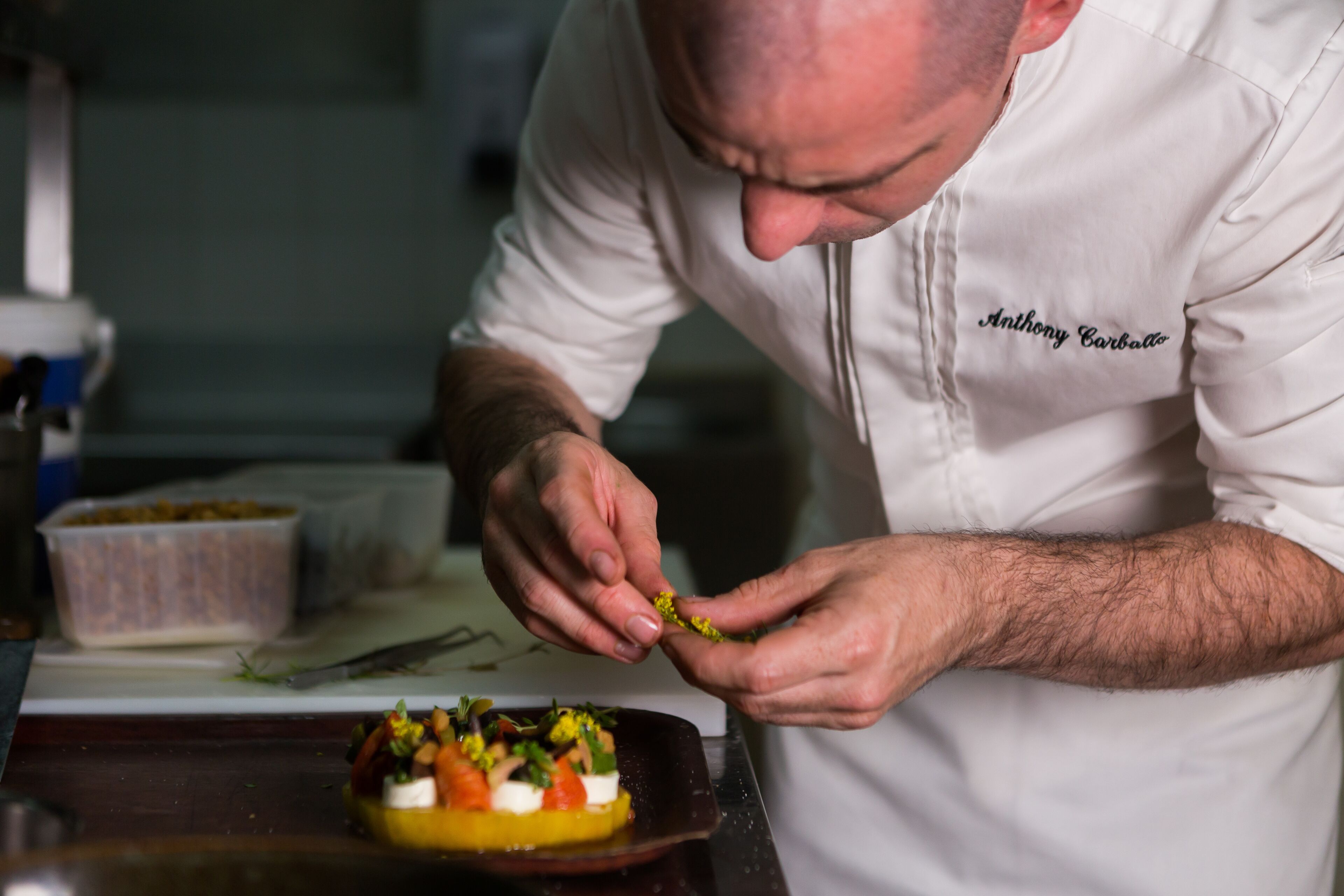 lunch and dinner served