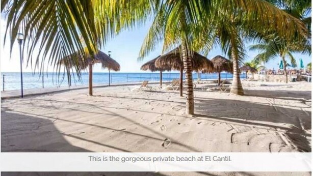 Ein privater Strand mit Palmen und strohgedeckten Sonnenschirmen.