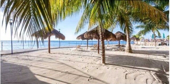 A private beach with palm trees and thatched umbrellas.