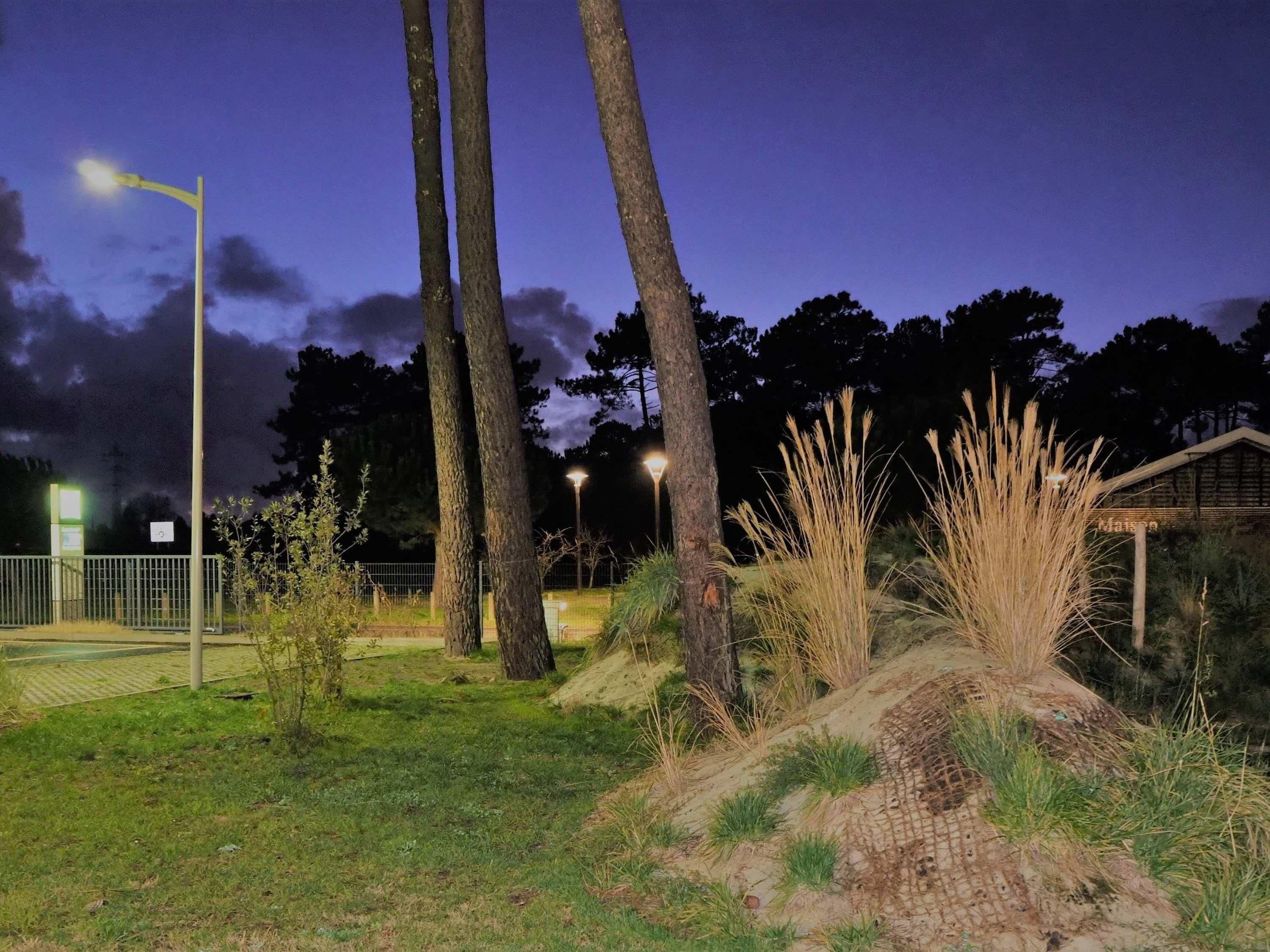 A nighttime outdoor area with trees, a dirt path, and a building in the background.