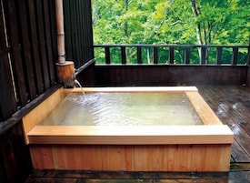 Bañera de hidromasaje al aire libre