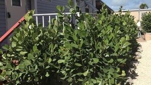A house with a covered porch, a small garden with shrubs, and a gravel driveway. - Beautiful & Spacious Home with Dock Key Largo (Key Largo)