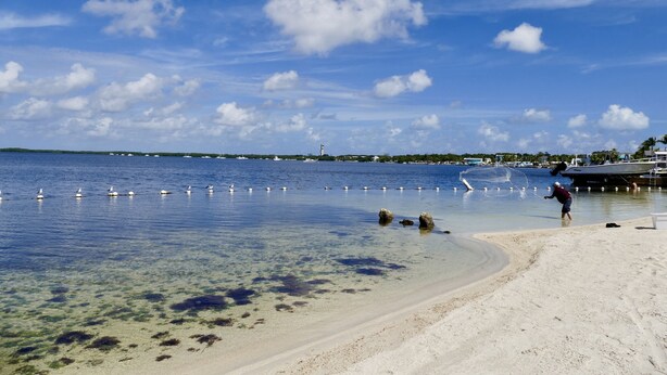 A beach with clear water, a sandy shore, and a distant boat. - Beautiful & Spacious Home with Dock Key Largo (Key Largo)