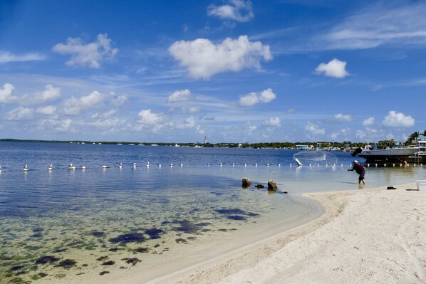 Beach nearby, sun loungers, beach towels - Beautiful & Spacious Home with Dock Key Largo (Key Largo)