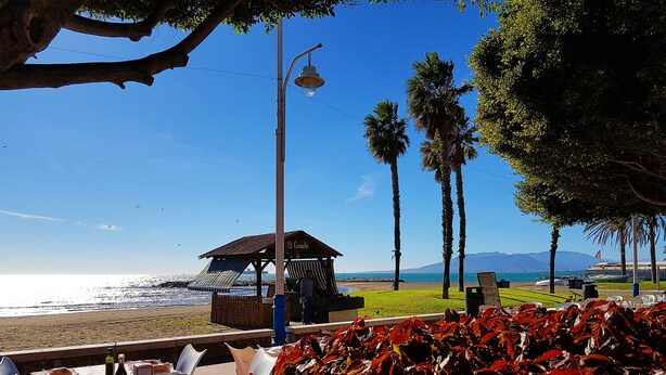 Un restaurante frente a la playa con terraza, vista al océano y palmeras.