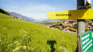 Un panneau indicateur portant l’inscription « Wanderweg », signalant un sentier de randonnée, est entouré d’un paysage verdoyant et luxuriant, avec un village en arrière-plan.
