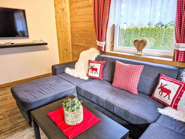 Fernseher, Kamin, DVD-Player