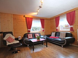 电视、壁炉、DVD 播放器