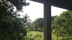 Interior - THE FIELD MATAPALO. (puntarenas)