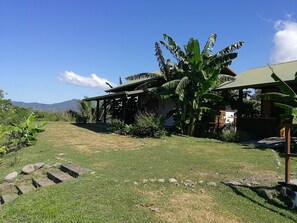 A house with a covered porch, surrounded by banana trees and other tropical plants.