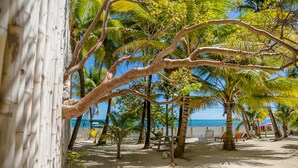 A beach with palm trees, a sandy area, and a white fence. - Babylon Beach (San Pedro)