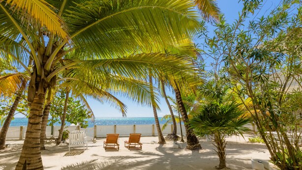 A beach with palm trees, two wooden chairs, and a sandy path. - Babylon Beach (San Pedro)