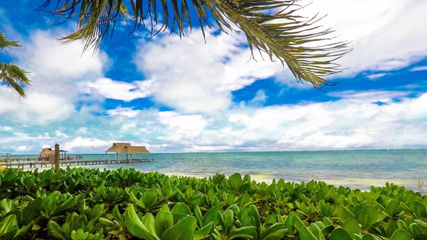 A beach with lush green vegetation in the foreground, a wooden pier with umbrellas, and the ocean in the background. - Beautiful Suite double beach front (Cancun)