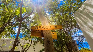 A wooden signpost with a 'BEACH' direction sign. - Beautiful Suite double beach front (Cancun)