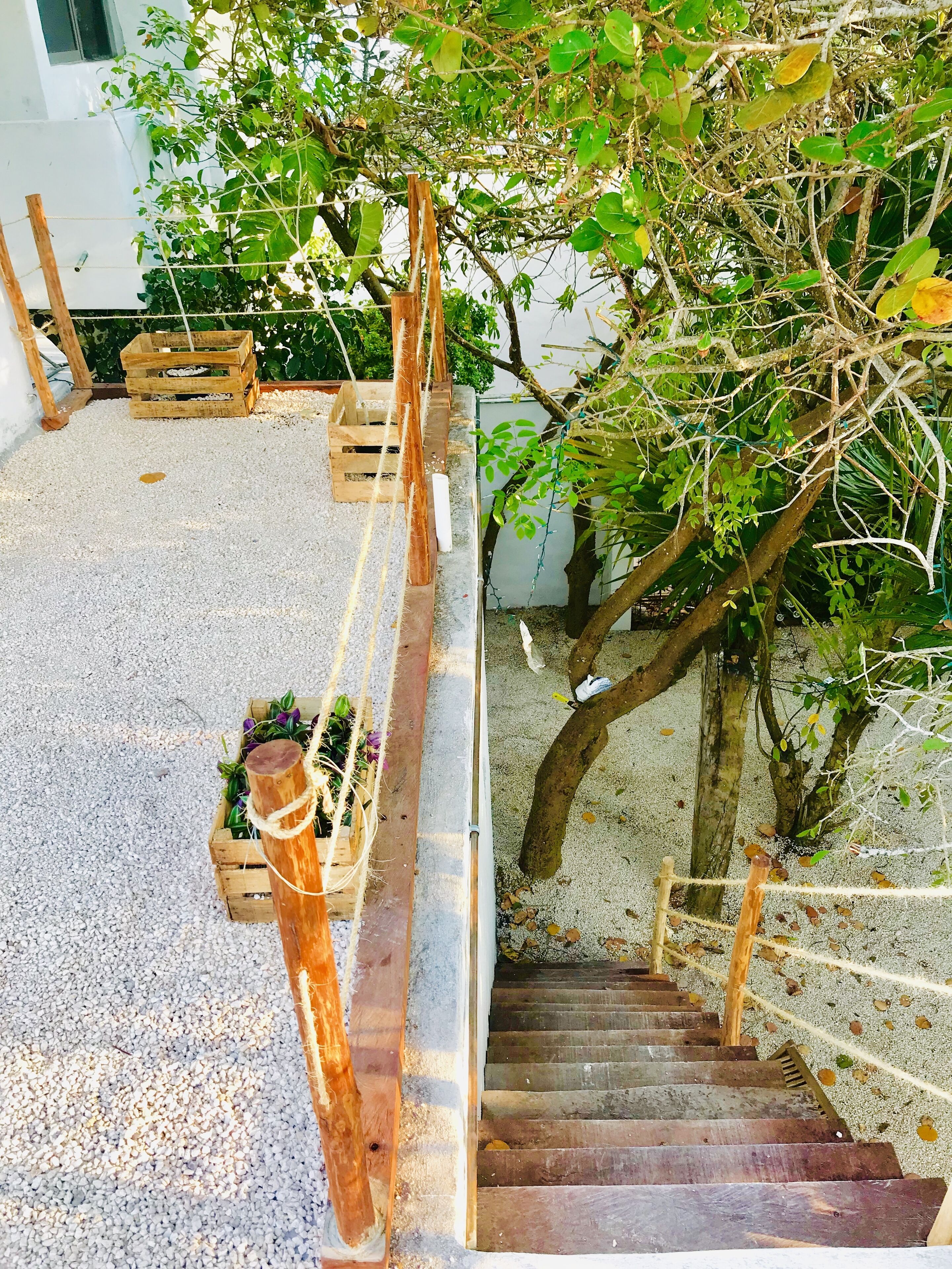 Una escalera de madera con barandilla de cuerda que lleva a una zona de grava con macetas de madera y un árbol.
