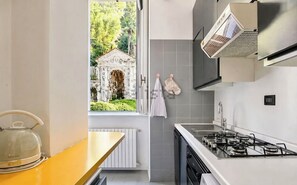Fridge, oven, stovetop, dishwasher