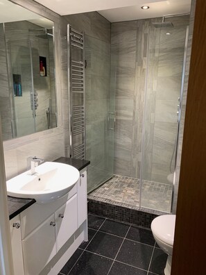 Combined shower/tub, hair dryer, towels, soap