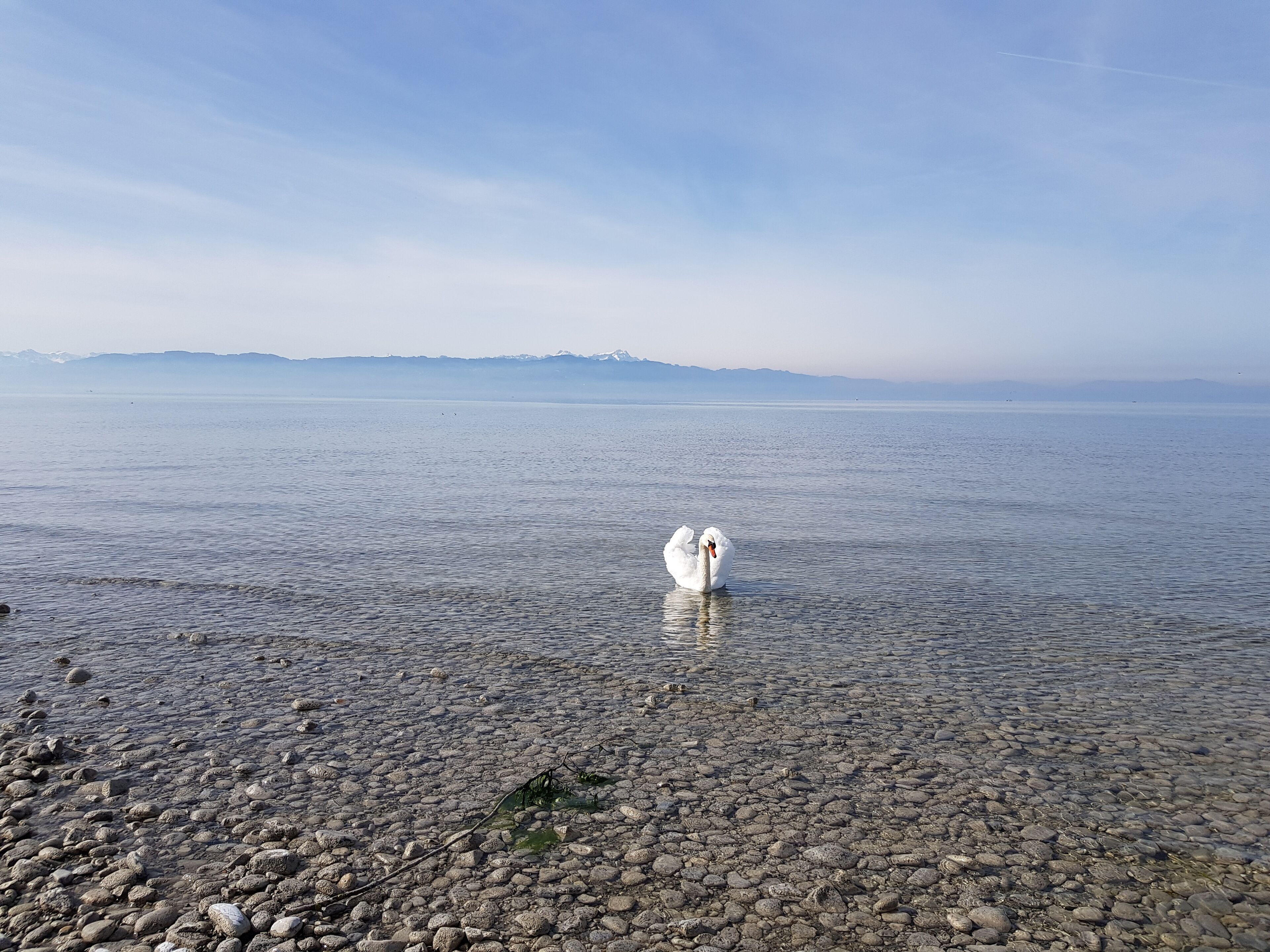 Un lac paisible, offrant une vue dégagée sur les montagnes lointaines et bordé d’une rive rocheuse.