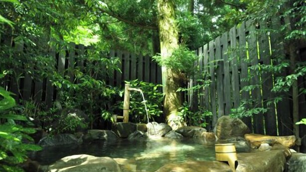 A natural water feature surrounded by rocks and greenery, with a wooden fence in the background. - Futarishizuka (Kirishima)