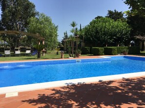 Seasonal outdoor pool, open 7:00 AM to 8:00 PM, pool loungers