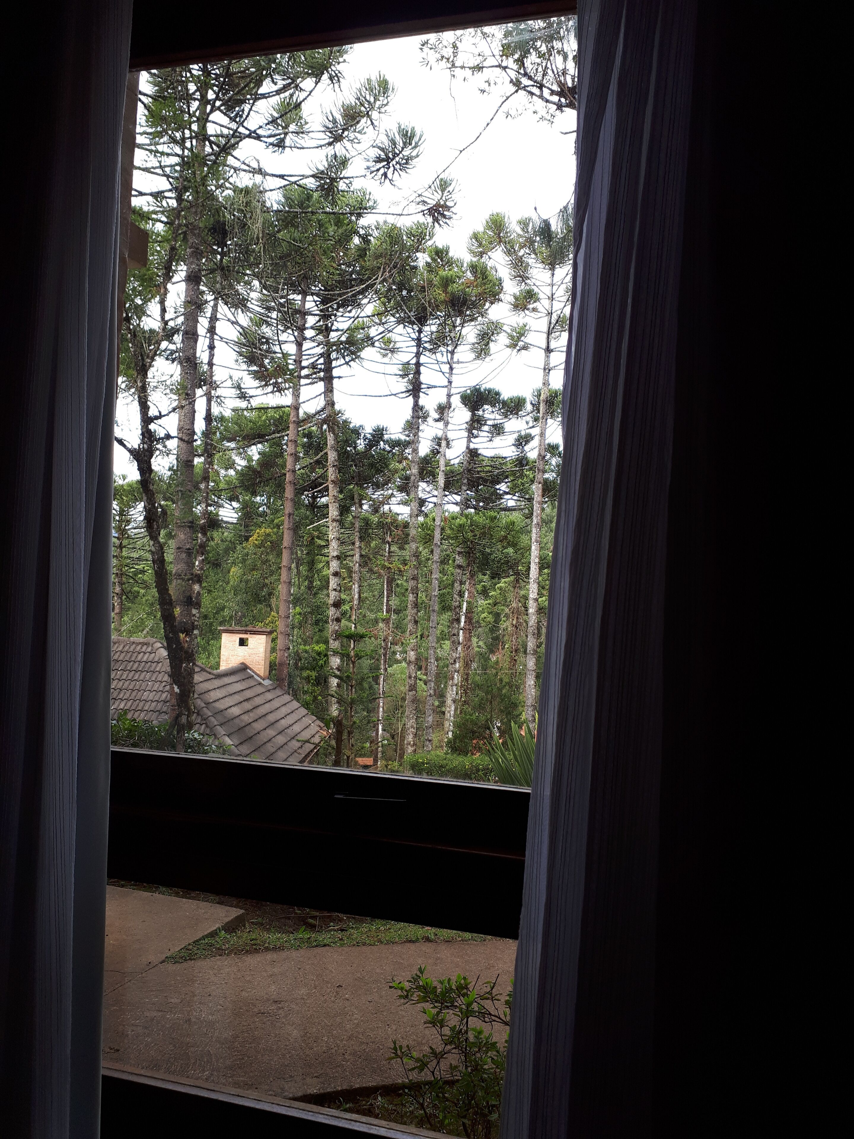 Foto - Pousada Bucaneve